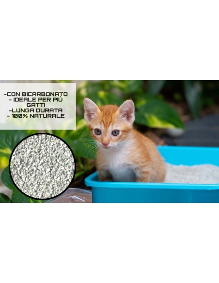 LINDO CAT - LETTIERA MULTICAT ANTIODORE AGGLOMERANTE 12 LT
