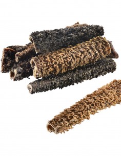 OFFICINA PETFOODLAB -...