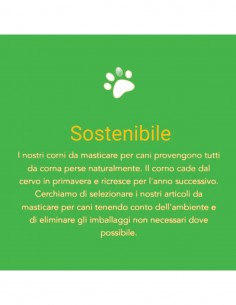 Corno di cervo intero tg M