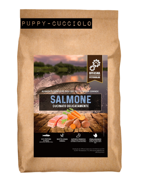 Crocchette grain free monoproteiche ipoallergeniche al salmone