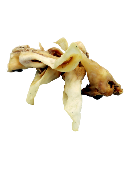 Orecchie di agnello per cani