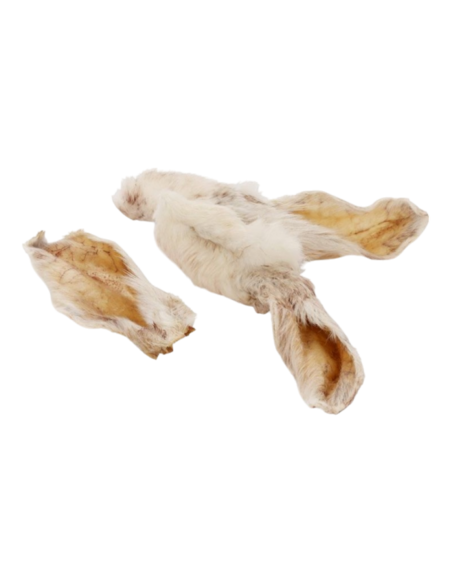 Orecchie di coniglio con pelliccia per cani