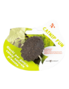 CATNIP FUN MIX