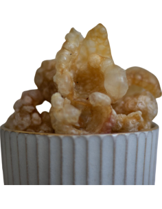 Paul & Paulina  Popcorn di...