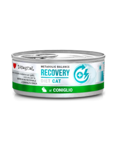 Disugual Recovery Coniglio...
