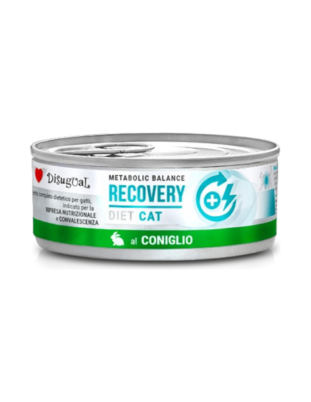 Disugual Recovery Coniglio 85 gr
