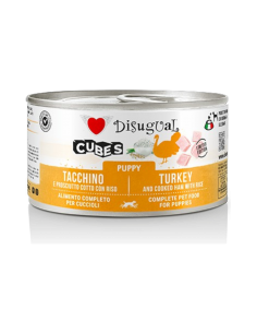 Disugual Toydog Cubes...
