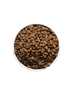 Ownat Care Hypoallergenic Gatto