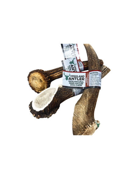 HIGHLAND DOG CHEWS - Corno di cervo intero Jambo 270 gr +