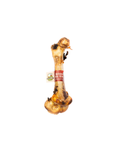 Osso di Struzzo Dino