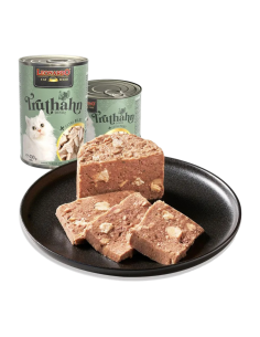 Leonardo Filetto Extra...