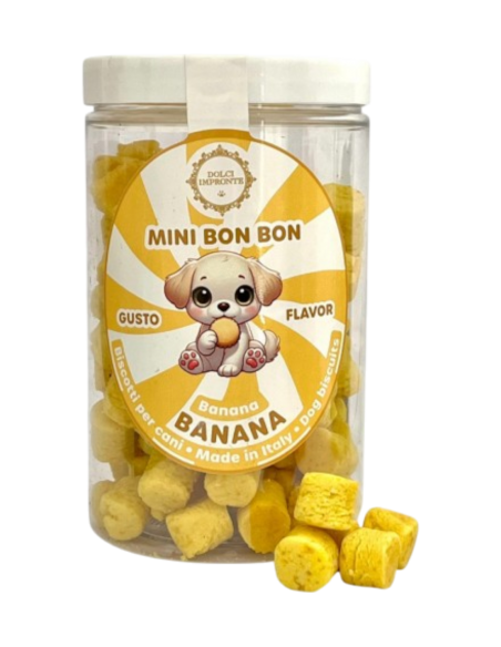 Biscotti per cani