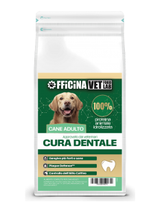 dental - cura dentale