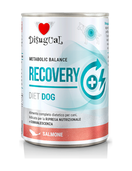 DISUGUAL CANE RECOVERY SALMONE 400 gr