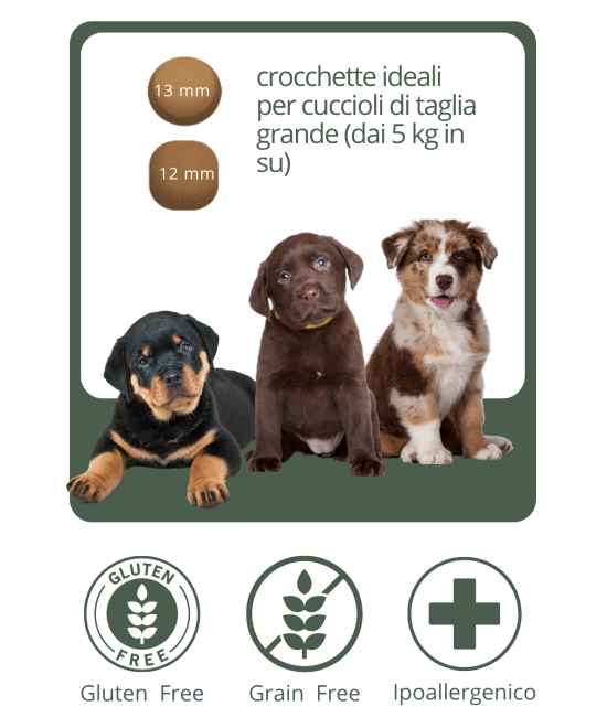 Crocchette grain free monoproteiche ipoallergeniche al salmone