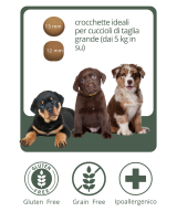Crocchette grain free monoproteiche ipoallergeniche al salmone