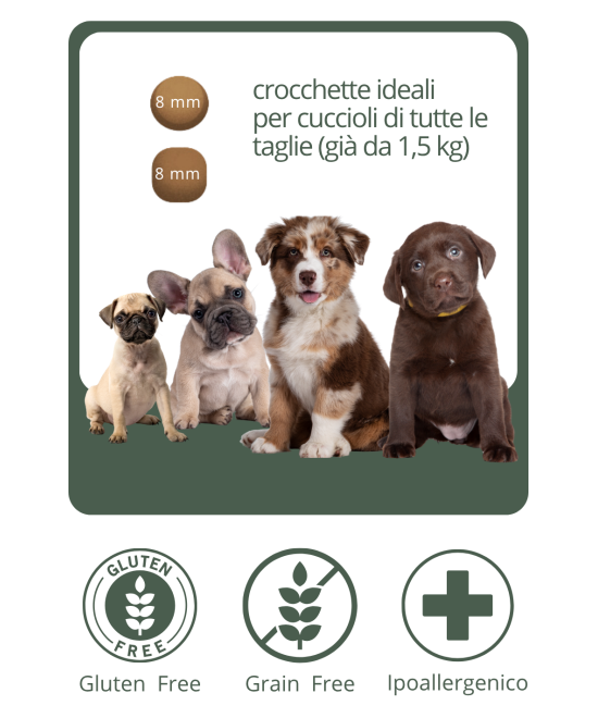 Crocchette puppy grain free monoproteiche e ipoallergeniche al pesce per cucciolo taglia media/ grande.