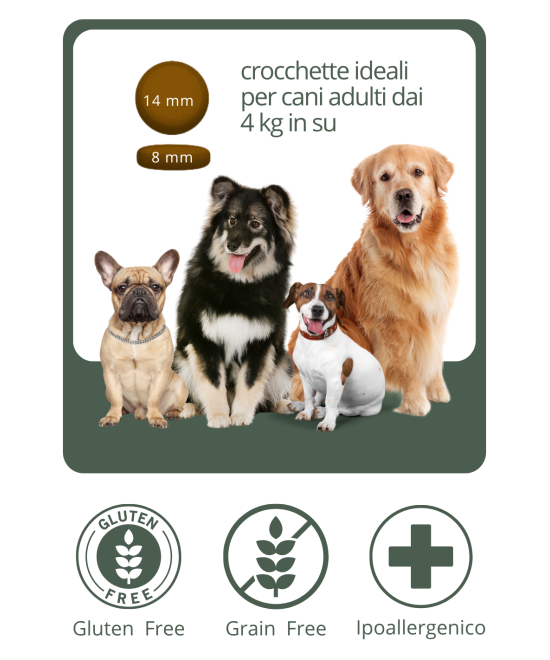 crocchette grain free all'agnello monoproteiche, ipoallergeniche