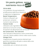 crocchette grain free all'agnello monoproteiche, ipoallergeniche