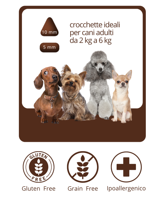 CROCCHETTE GRAIN FREE  ALL'ANGUS MONOPROTEICHE
