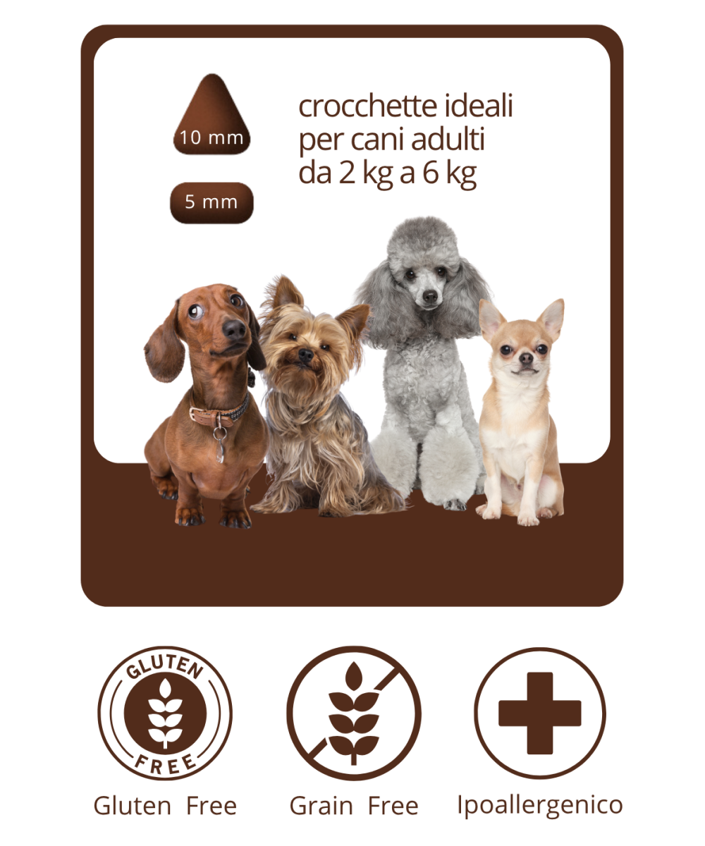 CROCCHETTE GRAIN FREE  ALL'ANGUS MONOPROTEICHE
