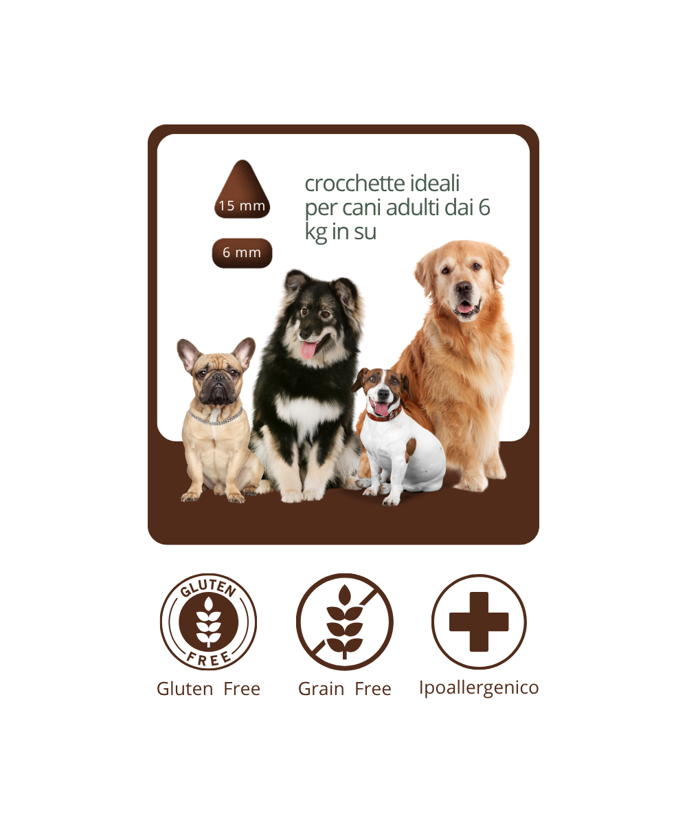 CROCCHETTE GRAIN FREE  ALL'ANGUS MONOPROTEICHE