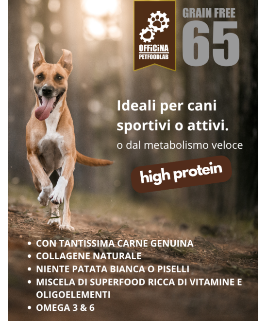 CROCCHETTE GRAIN FREE  ALL'ANGUS MONOPROTEICHE
