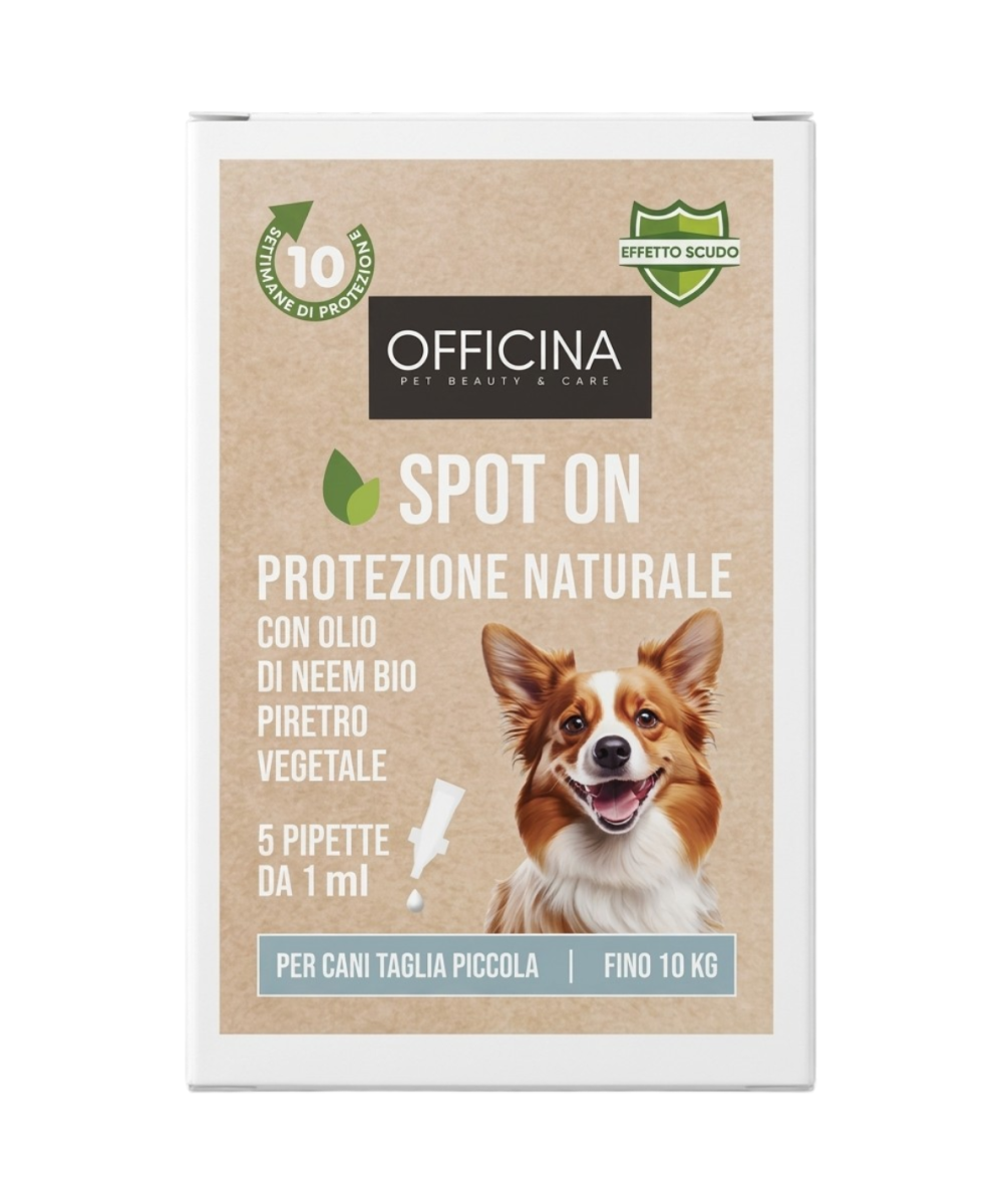 Antiparassitario per Gatti – Spot On Naturale con Olio di Neem – 5 Pipette Antiparassitario Gatti da 1ml – Antipulci Gatto contr