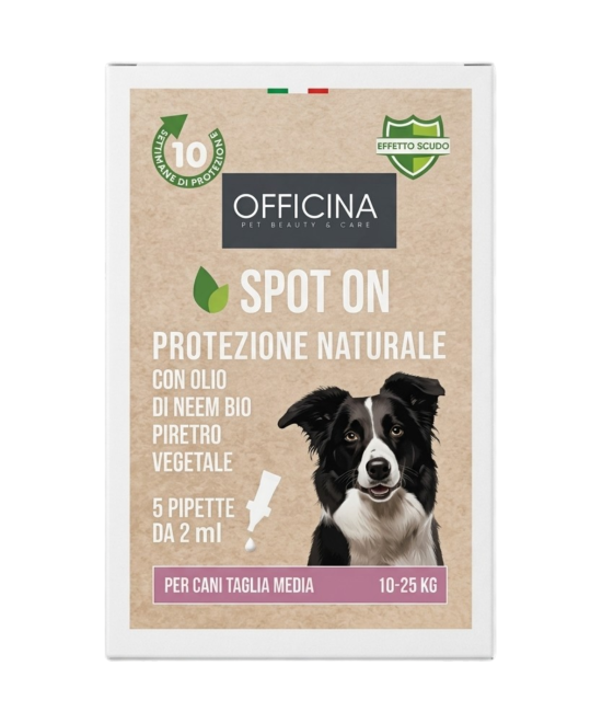 Antiparassitario per Gatti – Spot On Naturale con Olio di Neem – 5 Pipette Antiparassitario Gatti da 1ml – Antipulci Gatto contr