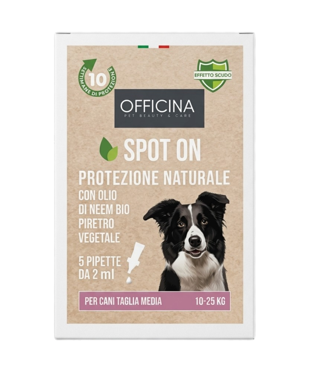 Antiparassitario per Gatti – Spot On Naturale con Olio di Neem – 5 Pipette Antiparassitario Gatti da 1ml – Antipulci Gatto contr