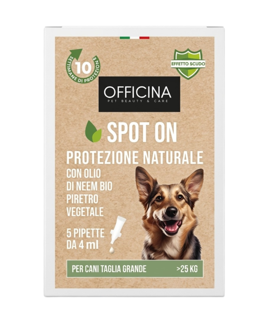 Antiparassitario per Gatti – Spot On Naturale con Olio di Neem – 5 Pipette Antiparassitario Gatti da 1ml – Antipulci Gatto contr