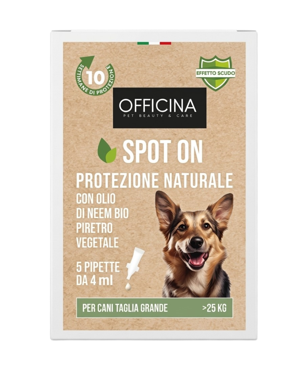 Antiparassitario per Gatti – Spot On Naturale con Olio di Neem – 5 Pipette Antiparassitario Gatti da 1ml – Antipulci Gatto contr