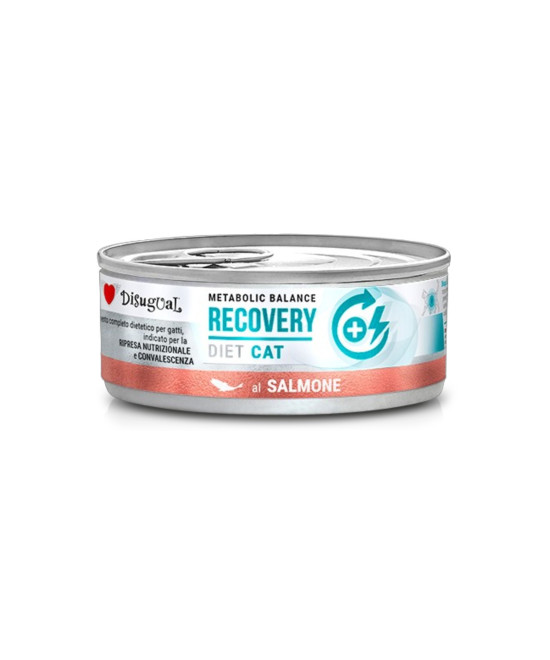Disugual Recovery Salmone 85 gr