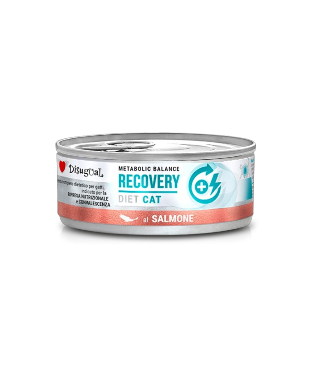 Disugual Recovery Salmone 85 gr
