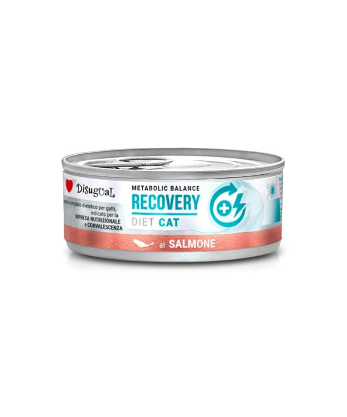 Disugual Recovery Salmone 85 gr