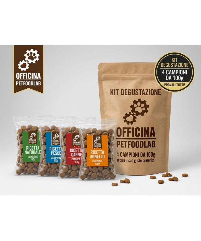 KIT CAMPIONI OMAGGIO