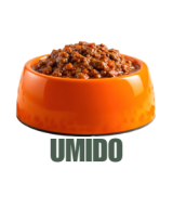 Umido